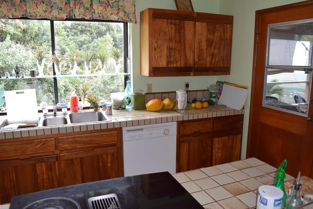 קפטן קוק A Beautiful Edge Of The World Bed & Breakfast מראה חיצוני תמונה